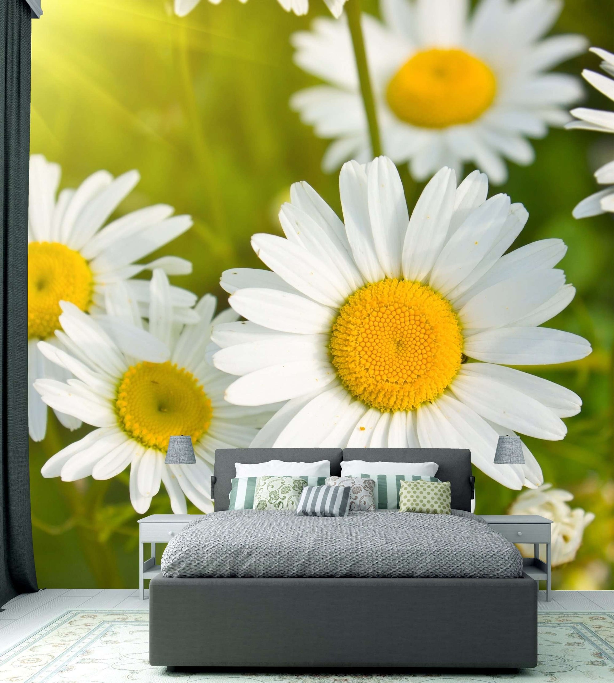 Samolepilne stenske Fototapeta Daisies in a field SW262-Life-decor.si