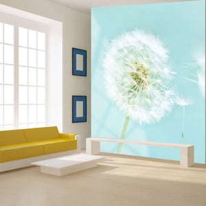 Samolepilne stenske Fototapeta Dandelion SW071-Life-decor.si