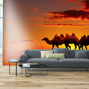 Samolepilne stenske Fototapeta Desert fantasy SW300-Life-decor.si