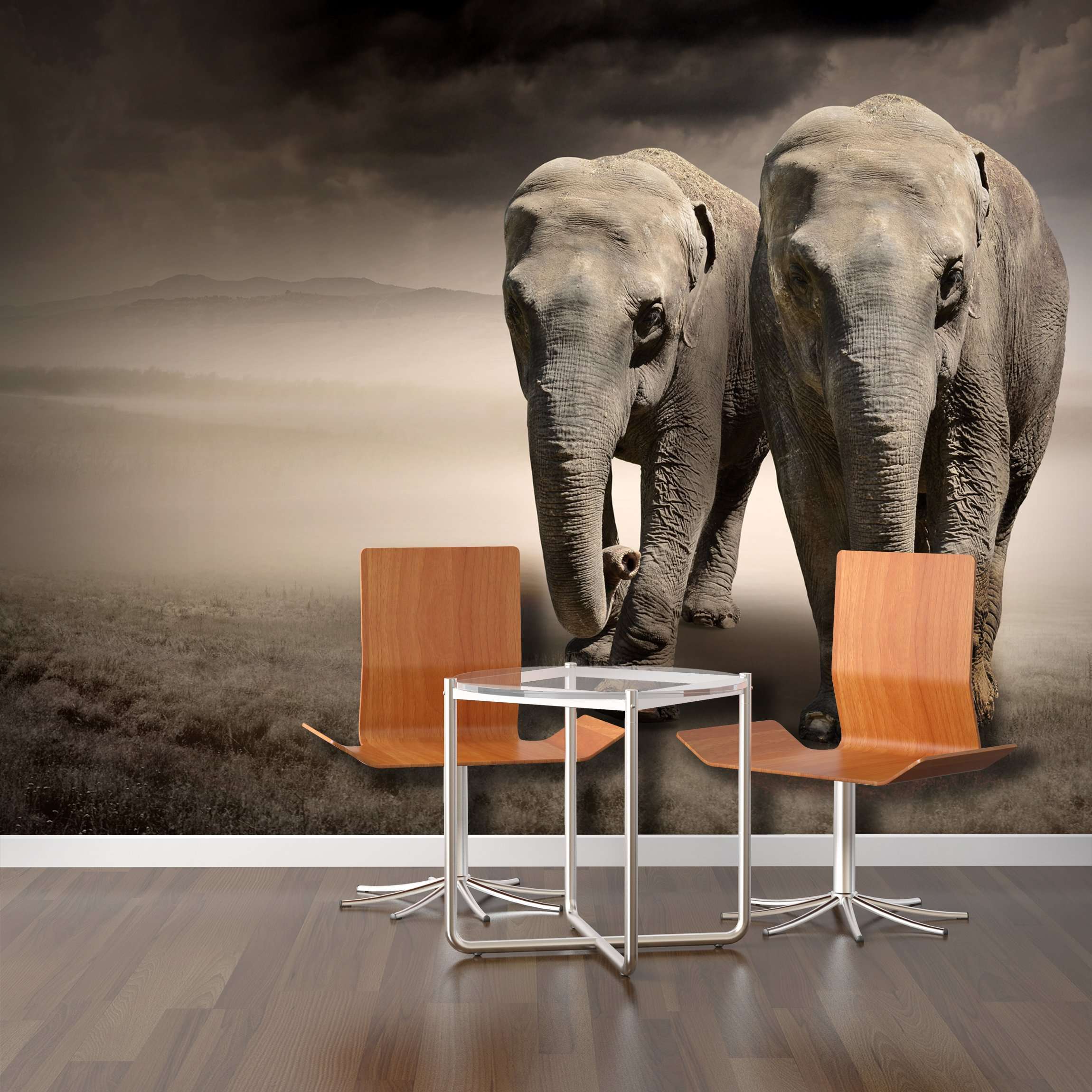 Samolepilne stenske Fototapeta Elephants SW022-Life-decor.si