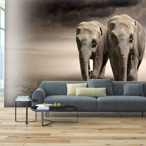 Samolepilne stenske Fototapeta Elephants SW022-Life-decor.si