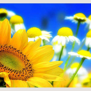 Samolepilne stenske Fototapeta Flower background SW074-Life-decor.si