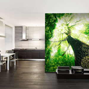 Samolepilne stenske Fototapeta Forest SW119-Life-decor.si