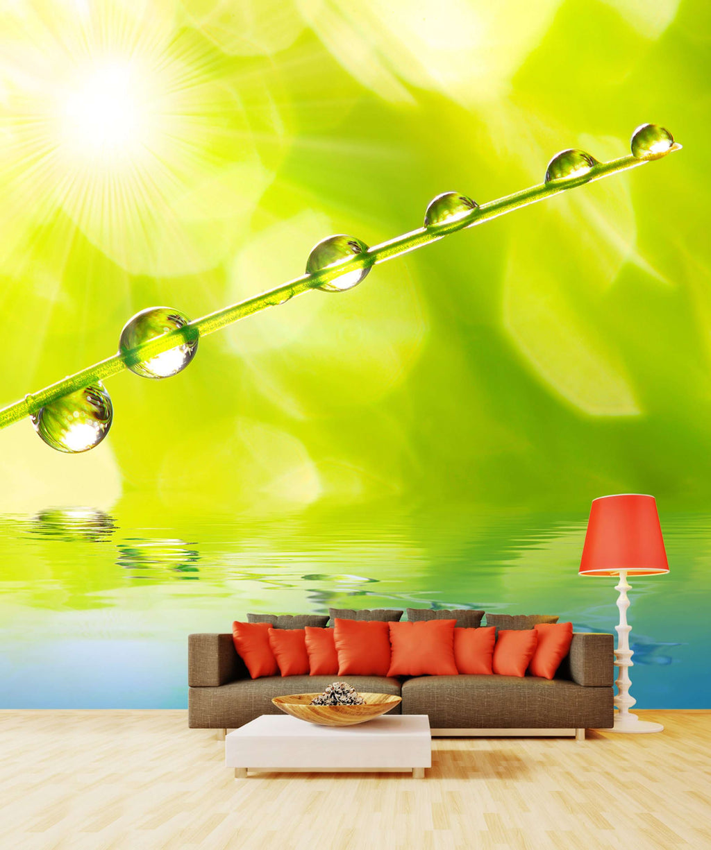 Samolepilne stenske Fototapeta Fresh morning dew SW214-Life-decor.si