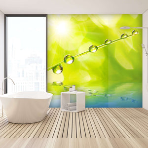 Samolepilne stenske Fototapeta Fresh morning dew SW214-Life-decor.si