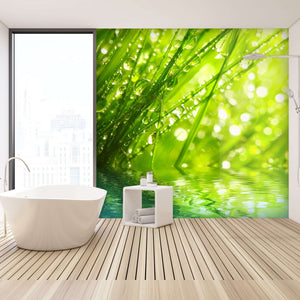 Samolepilne stenske Fototapeta Fresh morning SW068-Life-decor.si