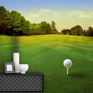 Samolepilne stenske Fototapeta Golf SW175-Life-decor.si