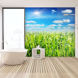 Samolepilne stenske Fototapeta grass SW216-Life-decor.si