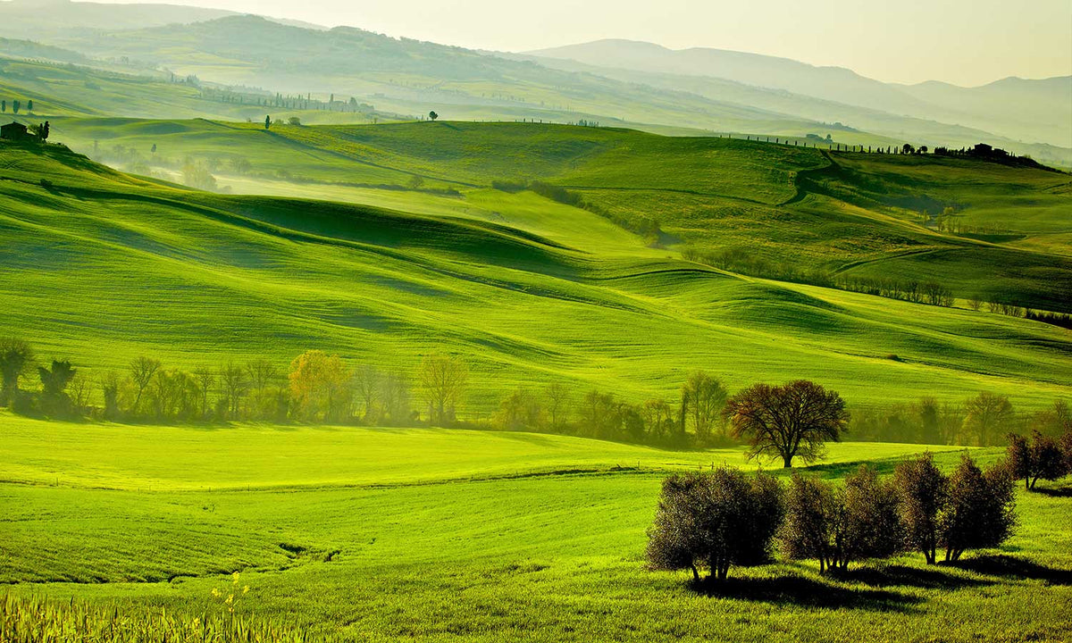 Samolepilne stenske Fototapeta Green Tuscany - SW522-Life-decor.si