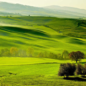 Samolepilne stenske Fototapeta Green Tuscany - SW522-Life-decor.si