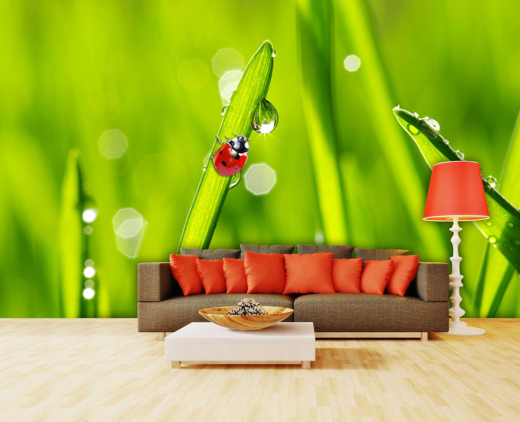 Samolepilne stenske Fototapeta Ladybug on grass SW069-Life-decor.si