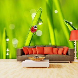 Samolepilne stenske Fototapeta Ladybug on grass SW069-Life-decor.si