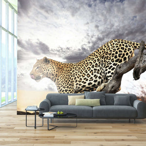 Samolepilne stenske Fototapeta Leopard SW077-Life-decor.si