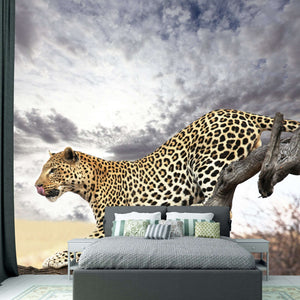 Samolepilne stenske Fototapeta Leopard SW077-Life-decor.si