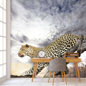 Samolepilne stenske Fototapeta Leopard SW077-Life-decor.si