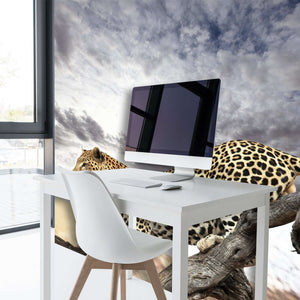 Samolepilne stenske Fototapeta Leopard SW077-Life-decor.si