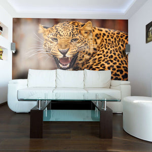 Samolepilne stenske Fototapeta Leopard SW091-Life-decor.si