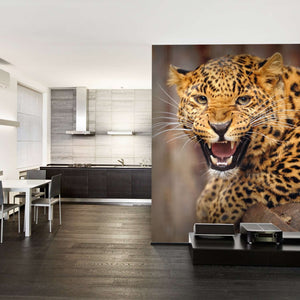 Samolepilne stenske Fototapeta Leopard SW091-Life-decor.si