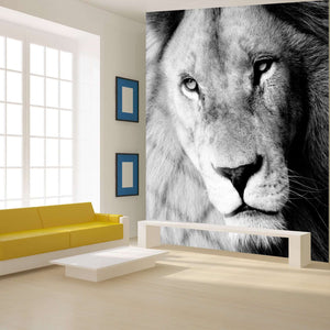 Samolepilne stenske Fototapeta Lion SW145-Life-decor.si