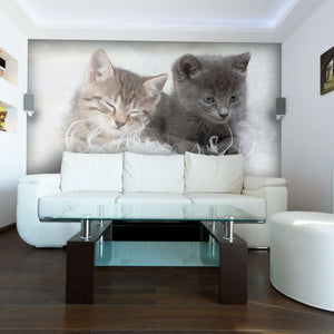 Samolepilne stenske Fototapeta Little Kittens SW117-Life-decor.si