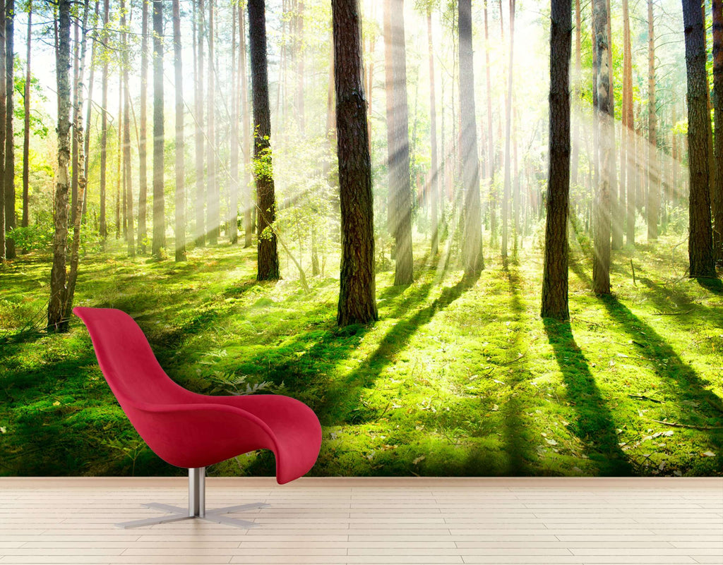 Samolepilne stenske Fototapeta Misty and Foggy Forest SW087-Life-decor.si