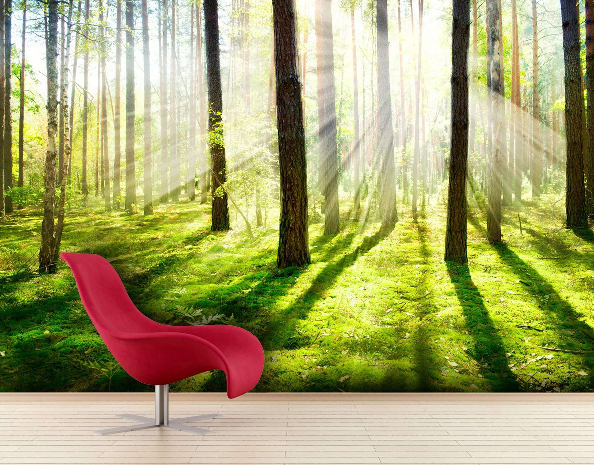 Samolepilne stenske Fototapeta Misty and Foggy Forest SW087-Life-decor.si