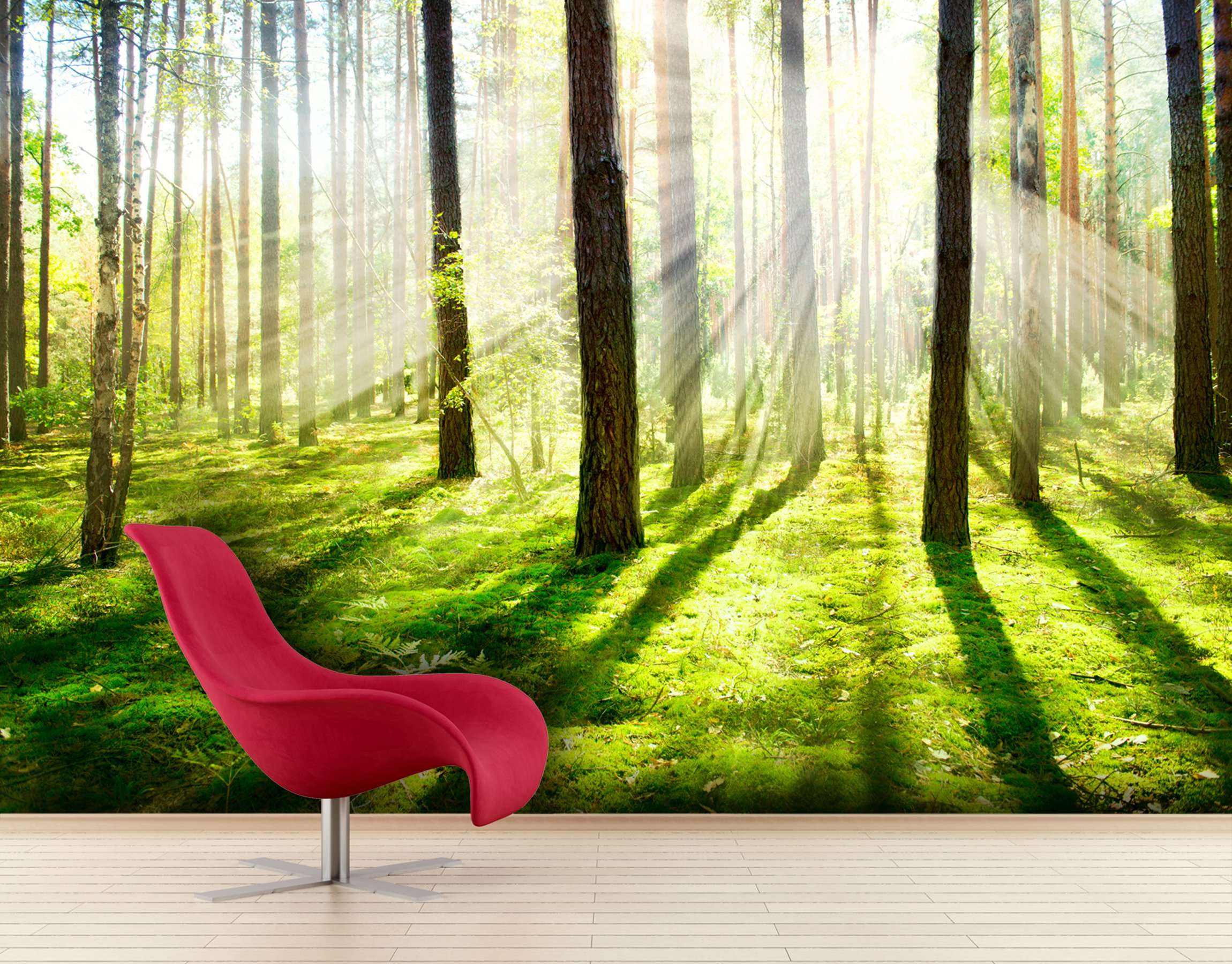 Samolepilne stenske Fototapeta Misty and Foggy Forest SW087-Life-decor.si