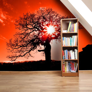 Samolepilne stenske Fototapeta Old oak in sunset SW134-Life-decor.si