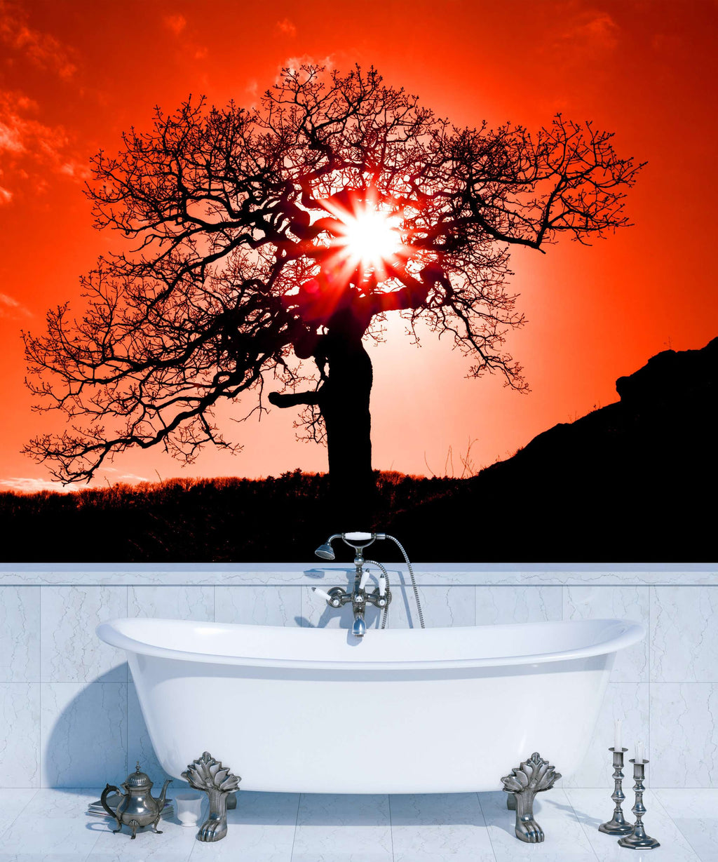 Samolepilne stenske Fototapeta Old oak in sunset SW134-Life-decor.si