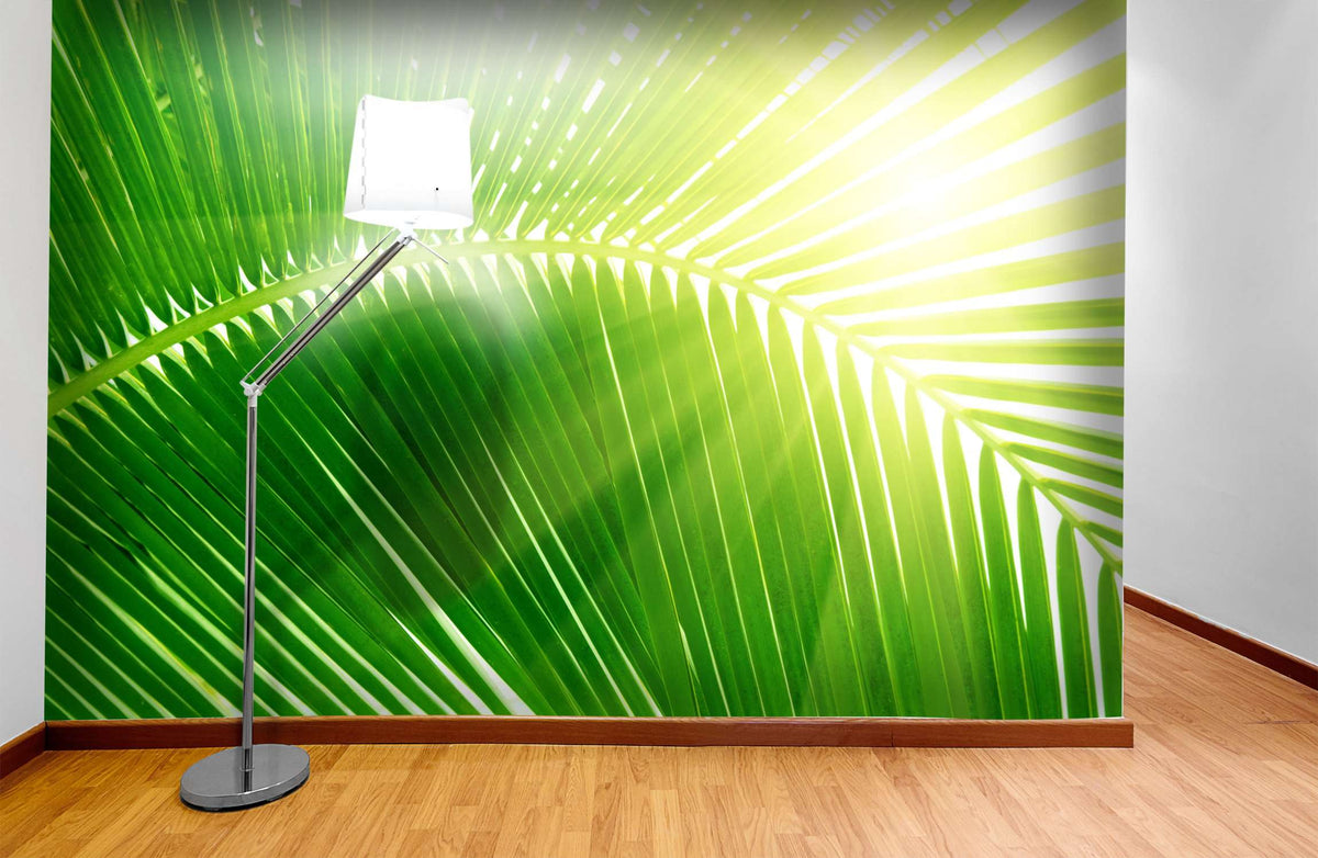 Samolepilne stenske Fototapeta Palm and morning light SW099-Life-decor.si