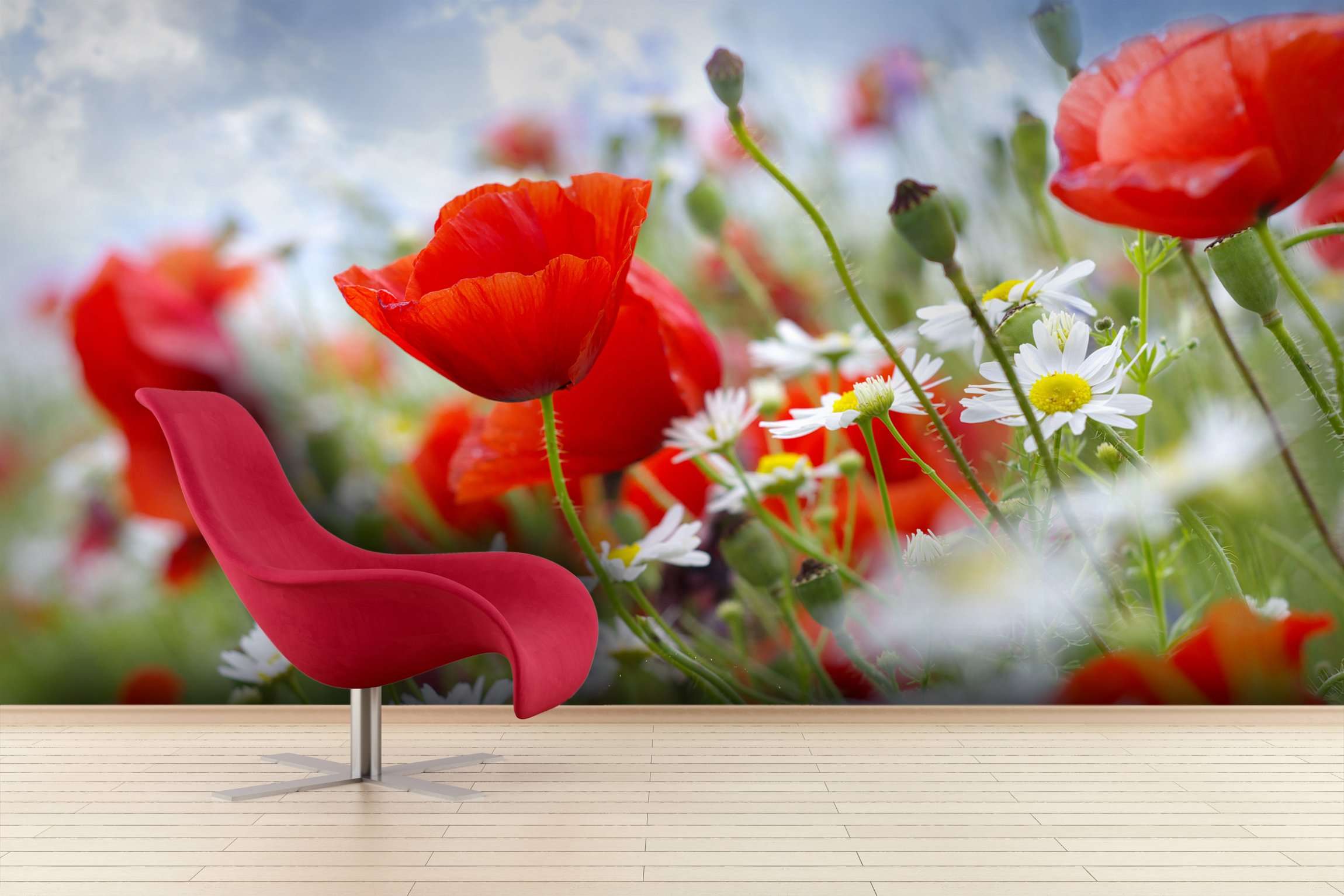 Samolepilne stenske Fototapeta Poppy red SW007-Life-decor.si