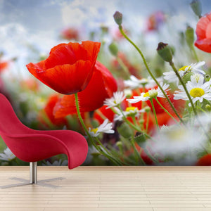 Samolepilne stenske Fototapeta Poppy red SW007-Life-decor.si