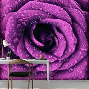 Samolepilne stenske Fototapeta Purple dark rose SW249-Life-decor.si