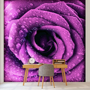 Samolepilne stenske Fototapeta Purple dark rose SW249-Life-decor.si