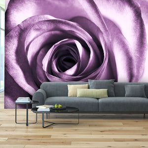 Samolepilne stenske Fototapeta Purple rose SW028-Life-decor.si