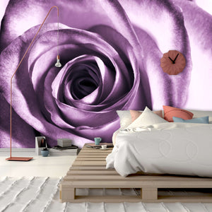 Samolepilne stenske Fototapeta Purple rose SW028-Life-decor.si