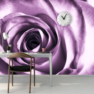 Samolepilne stenske Fototapeta Purple rose SW028-Life-decor.si