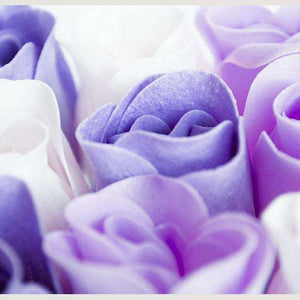 Samolepilne stenske Fototapeta Purple roses SW061-Life-decor.si