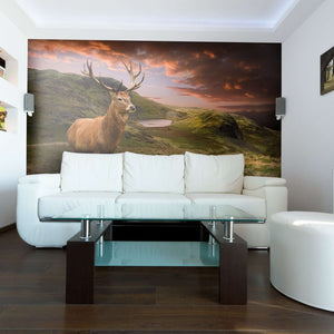 Samolepilne stenske Fototapeta Red deer II SW292-Life-decor.si