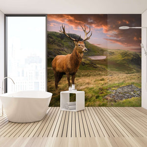 Samolepilne stenske Fototapeta Red deer II SW292-Life-decor.si