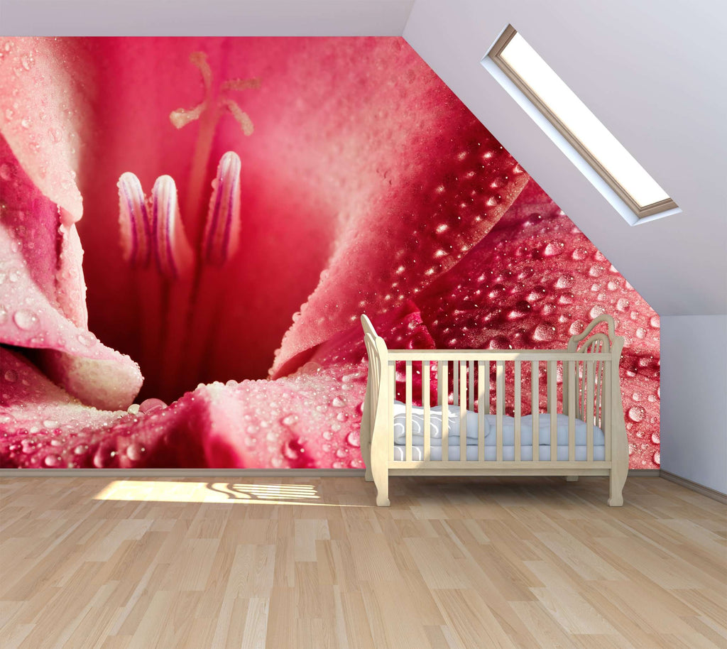 Samolepilne stenske Fototapeta Red flower SW265-Life-decor.si