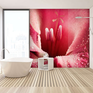 Samolepilne stenske Fototapeta Red flower SW265-Life-decor.si