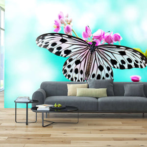 Samolepilne stenske Fototapeta Rice Paper Butterfly SW266-Life-decor.si