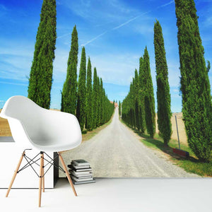 Samolepilne stenske Fototapeta Road in Tuscany - SW514-Life-decor.si