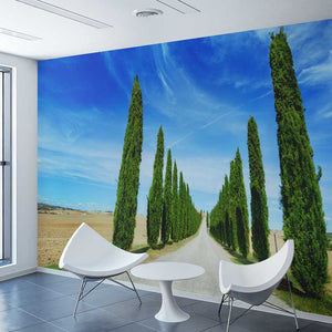 Samolepilne stenske Fototapeta Road in Tuscany - SW514-Life-decor.si