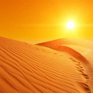 Samolepilne stenske Fototapeta Sand dunes in Sahara SW298-Life-decor.si