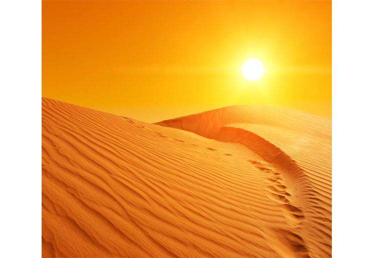 Samolepilne stenske Fototapeta Sand dunes in Sahara SW298-Life-decor.si