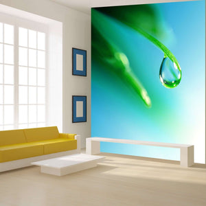 Samolepilne stenske Fototapeta Shine water drop SW217-Life-decor.si