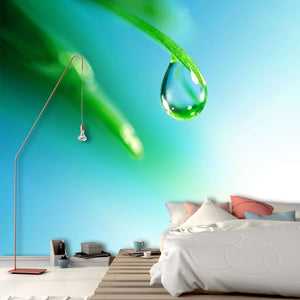 Samolepilne stenske Fototapeta Shine water drop SW217-Life-decor.si