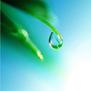 Samolepilne stenske Fototapeta Shine water drop SW217-Life-decor.si